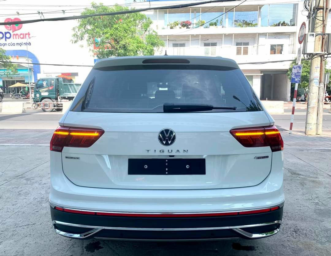 the new tiguan trắng (12)