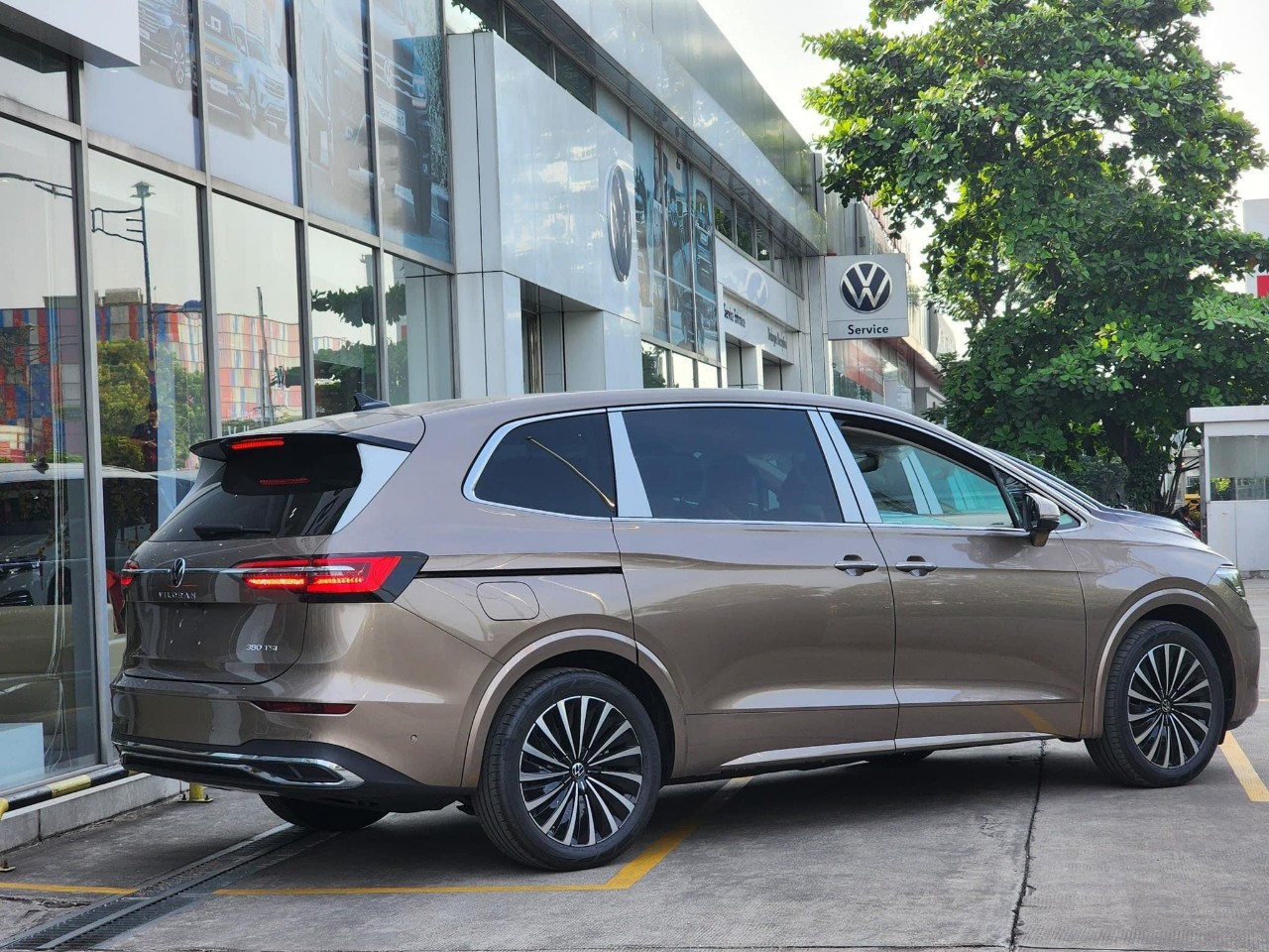 viloran luxury màu vàng (11)