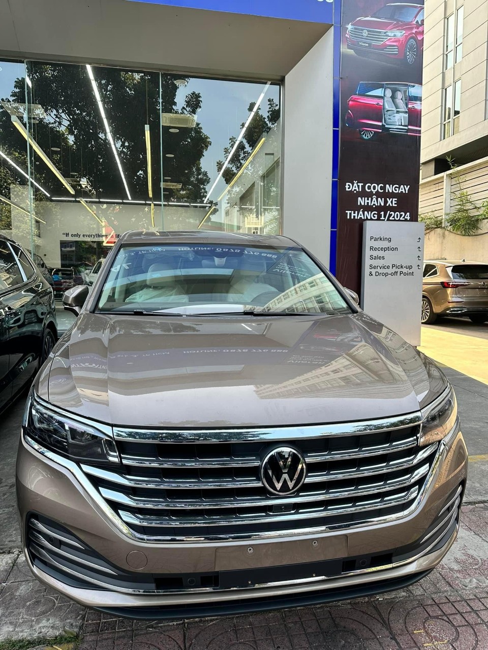 viloran luxury màu vàng (6)