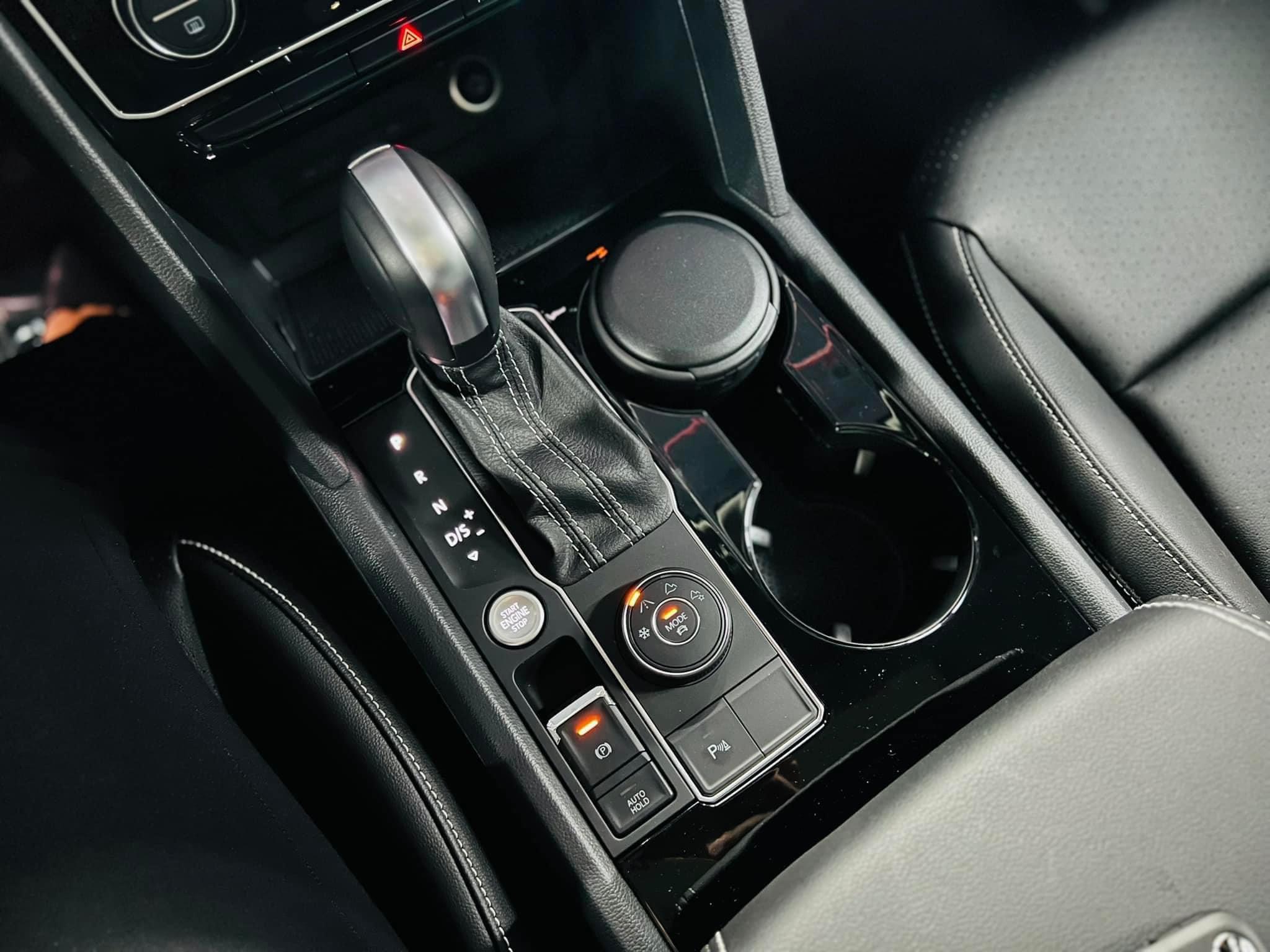 TERRAMONT LIMITED (10)