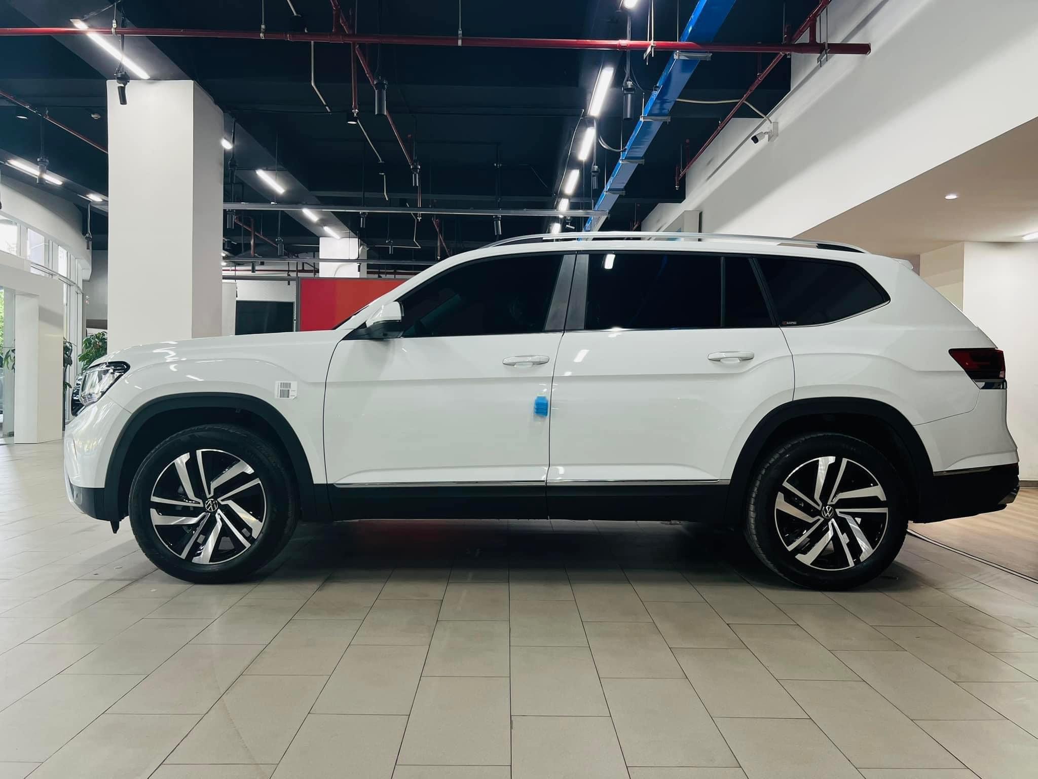 TERRAMONT LIMITED (15)