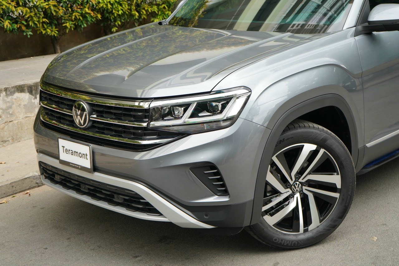 TERRAMONT LIMITED (7)