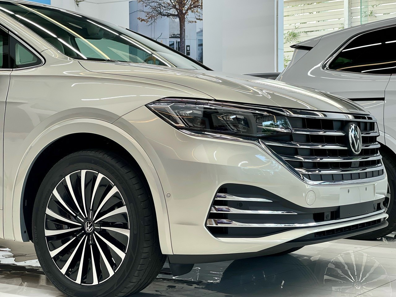viloran luxury màu bạc (13)